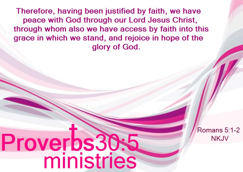 Proverbs30 5 ministries